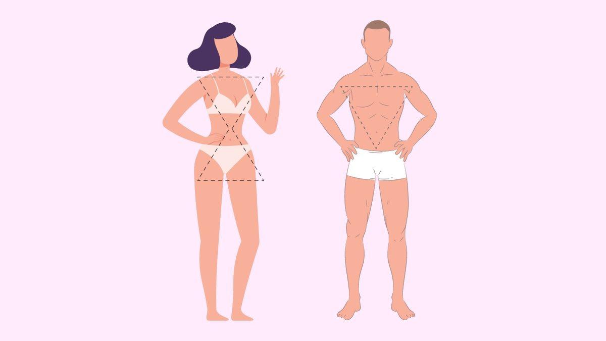 Bilime Göre Hangi Vücut Tipine Sahipsiniz? Ektomorf, Endomorf, Mezomorf Vücut Tipleri ve Özelliklerini Açıklıyoruz