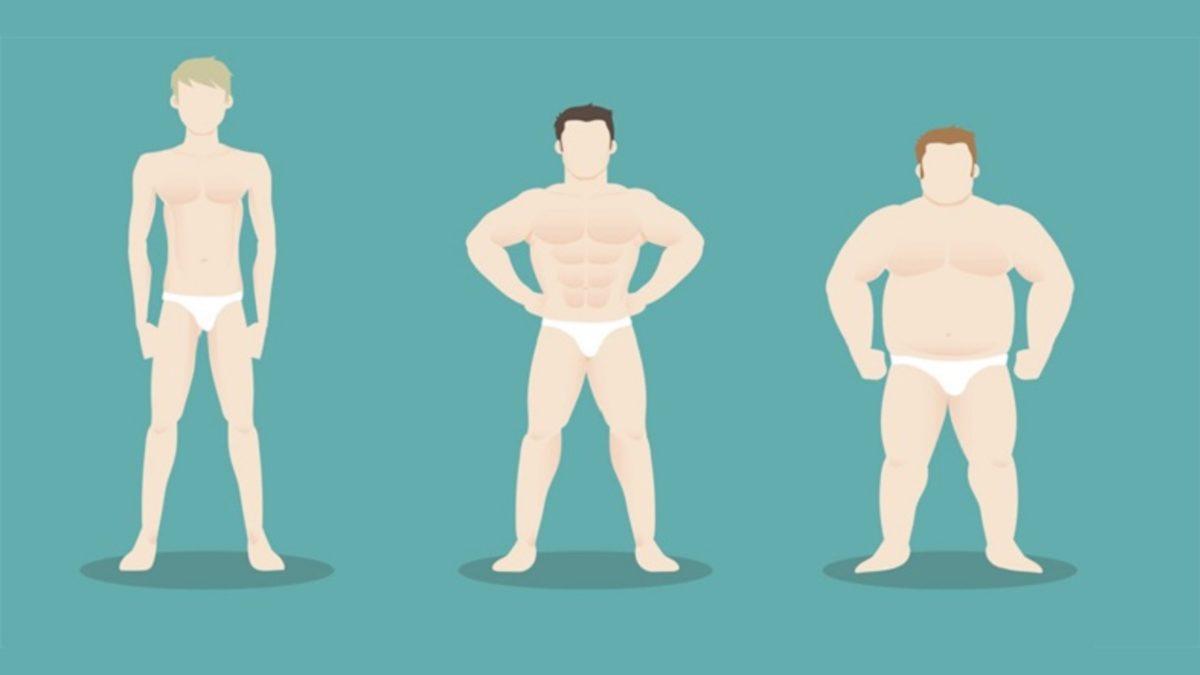 Bilime Göre Hangi Vücut Tipine Sahipsiniz? Ektomorf, Endomorf, Mezomorf Vücut Tipleri ve Özelliklerini Açıklıyoruz