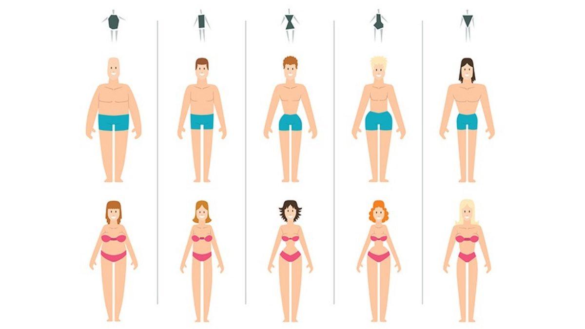 Bilime Göre Hangi Vücut Tipine Sahipsiniz? Ektomorf, Endomorf, Mezomorf Vücut Tipleri ve Özelliklerini Açıklıyoruz