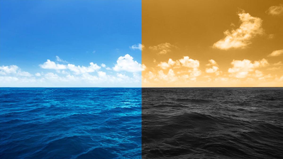 Okyanuslarımız Su Yerine Petrolden Oluşsaydı Ne Olurdu?