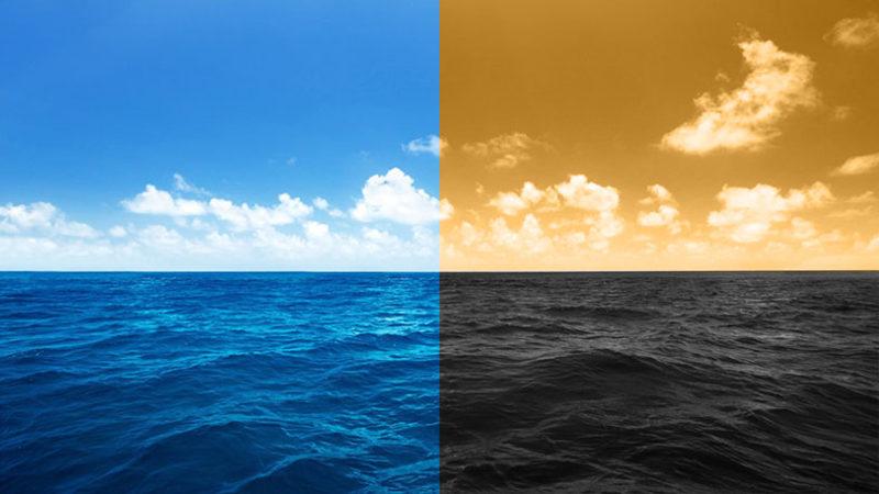 Okyanuslarımız Su Yerine Petrolden Oluşsaydı Ne Olurdu?