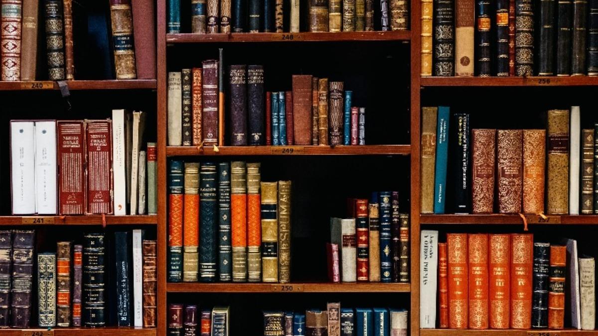 Türkiye’de Üniversitelerde Öğrenci Başına Düşen Kitap Sayısı Açıklandı: Tablo Hiç İç Açıcı Değil