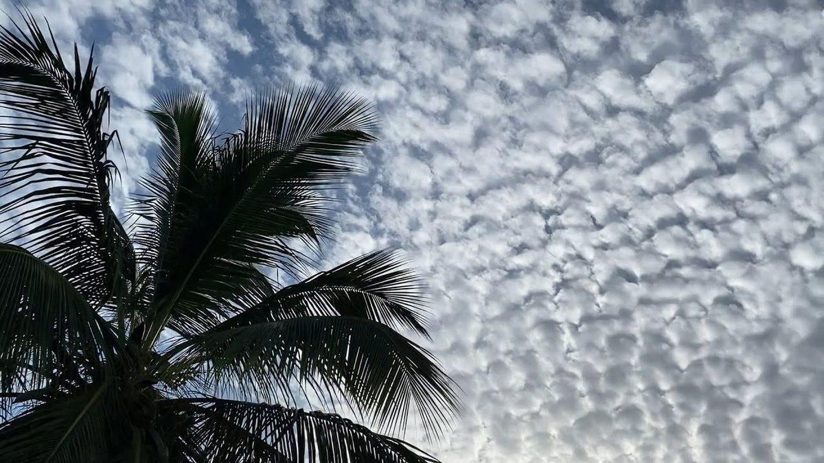 Bursa’da Ortaya Çıkan ’UFO’ Görünümlü Bulut Gündem Olmuştu: İşte Bilinen Bulut Çeşitleri ve Özellikleri