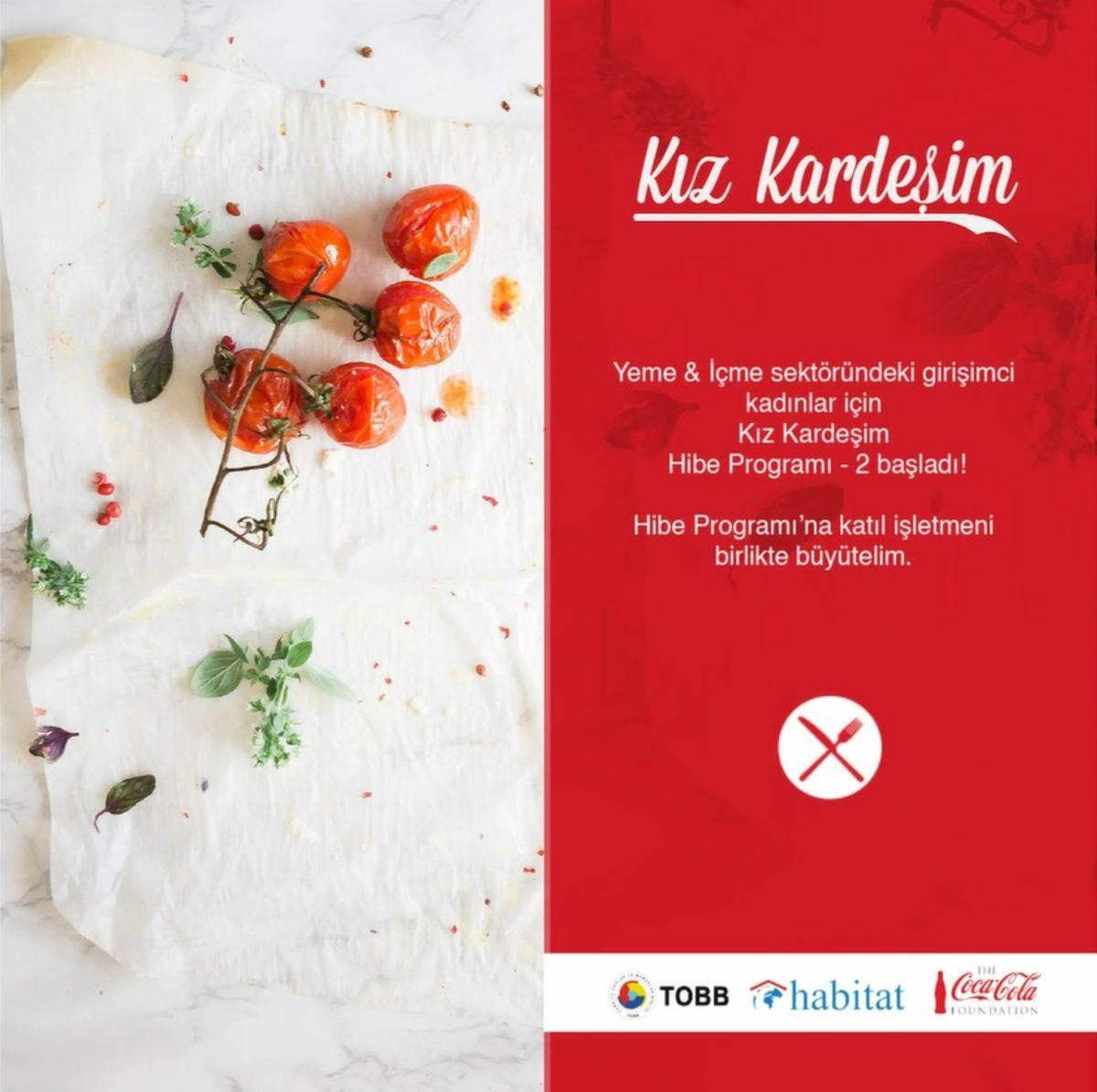 Girişimci Kadınlara 765 Bin TL Dağıtılacak Kız Kardeşim Hibe Programı Başladı