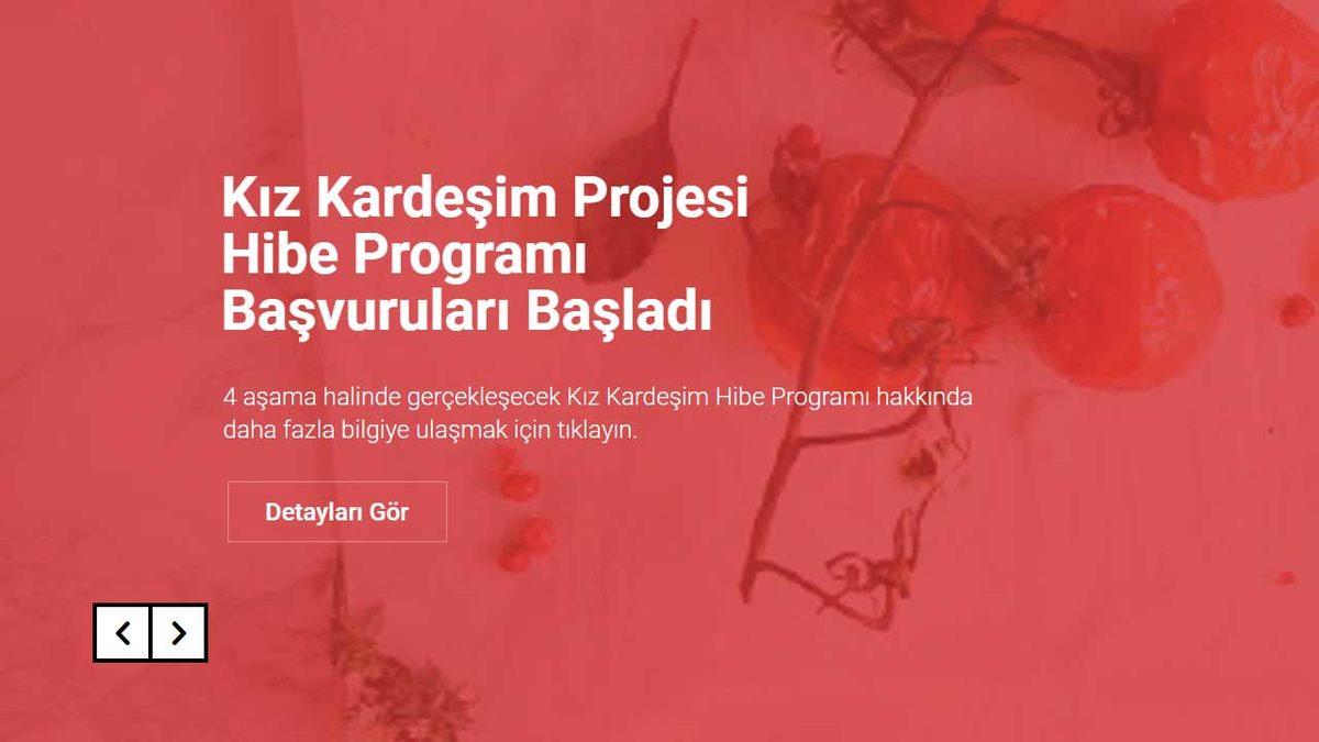 Girişimci Kadınlara 765 Bin TL Dağıtılacak Kız Kardeşim Hibe Programı Başladı