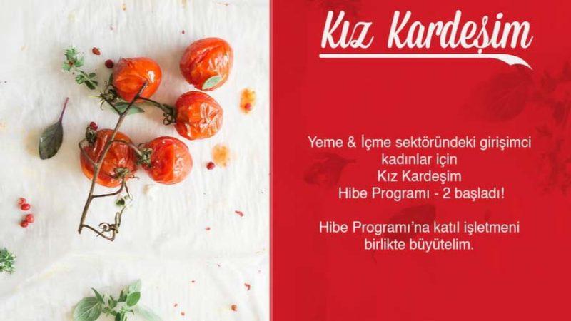 Girişimci Kadınlara 765 Bin TL Dağıtılacak Kız Kardeşim Hibe Programı Başladı