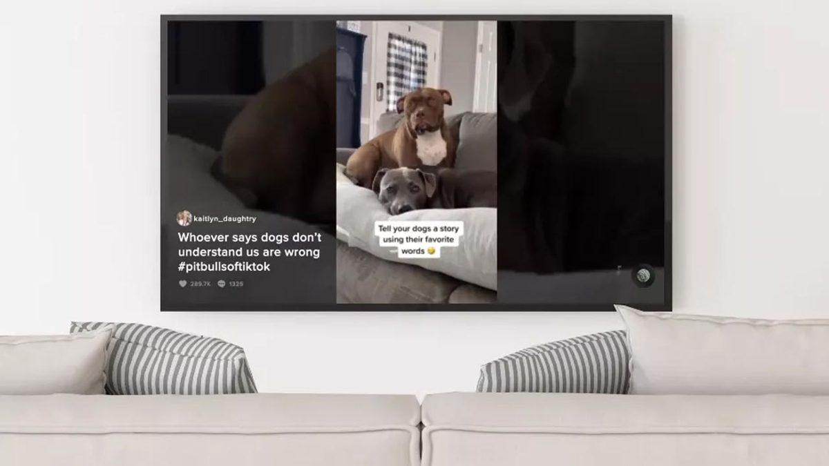 Samsung TV’lere TikTok Uygulaması Geliyor