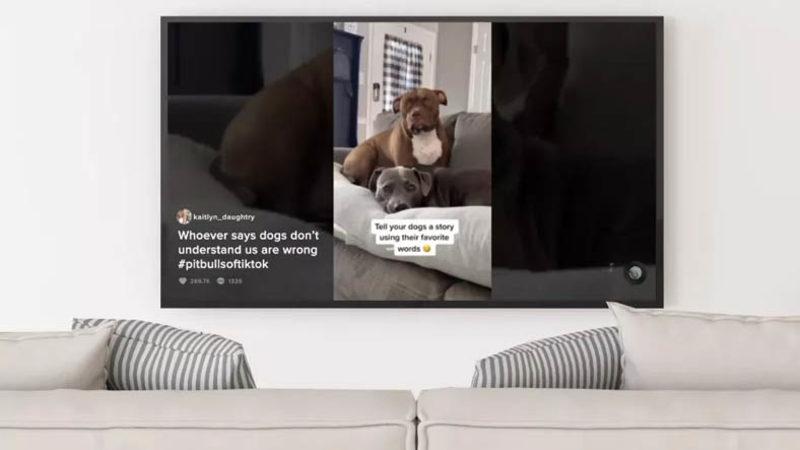 Samsung TV’lere TikTok Uygulaması Geliyor