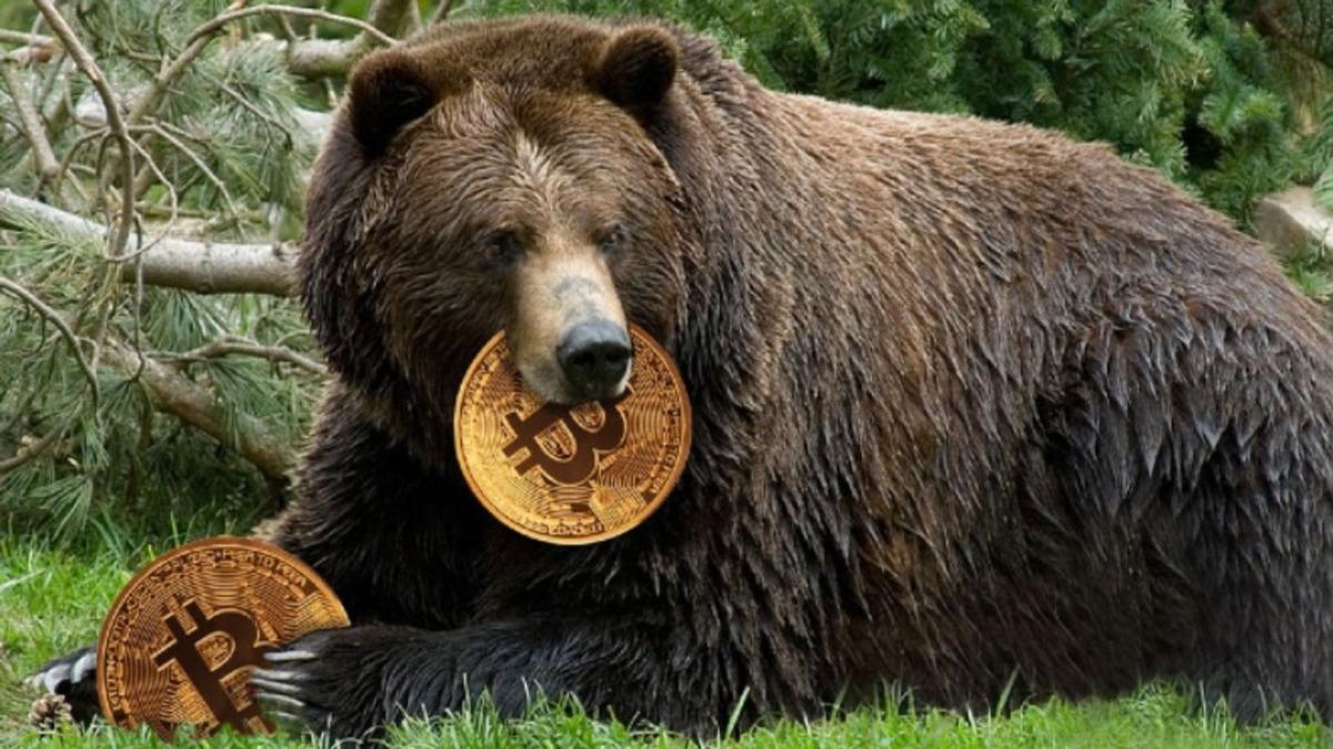 Kripto Para Yatırımcılarını Piyasaya Küstürecek Açıklama: ’Bitcoin Kışı’ Geliyor