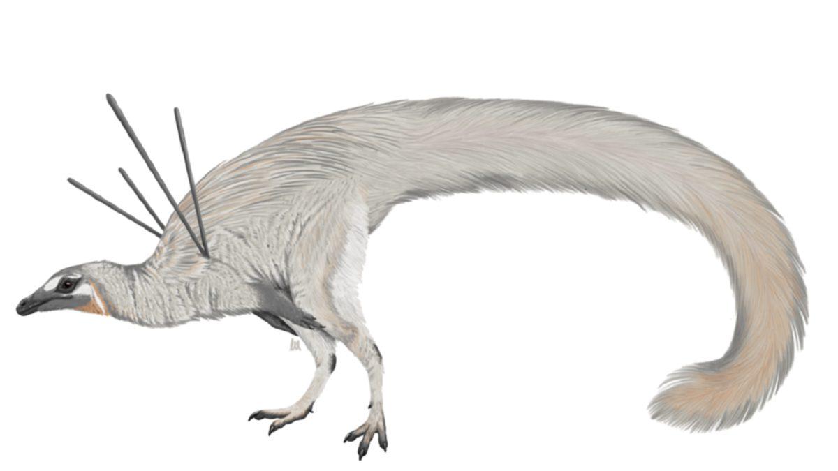 110 Milyon Yıl Önce Yaşamış Yeni Bir Tüylü Dinozor Türü Keşfedildi