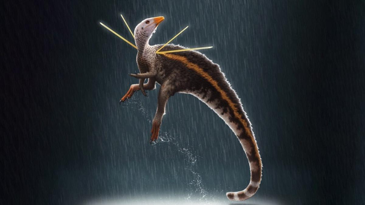 110 Milyon Yıl Önce Yaşamış Yeni Bir Tüylü Dinozor Türü Keşfedildi