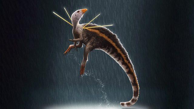 110 Milyon Yıl Önce Yaşamış Yeni Bir Tüylü Dinozor Türü Keşfedildi