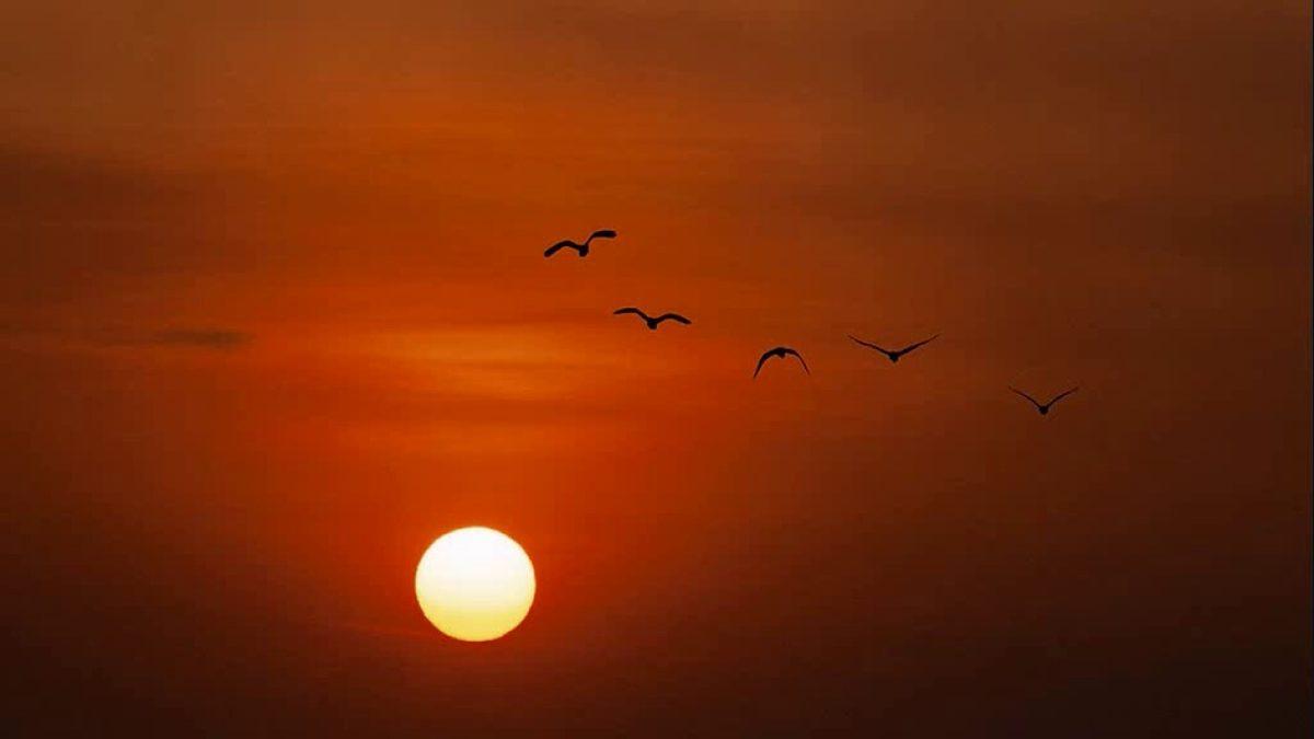 Türkçede Direkt Karşılığı Olmayan Derin Anlamlı 20 Yabancı Kelime ve Anlamı