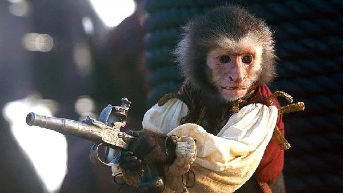 III. Murat Döneminde Fuhuş Yapıyorlar Gerekçesiyle İstanbul’da İdam Ettirilen Yüzlerce Maymunun Hikayesi