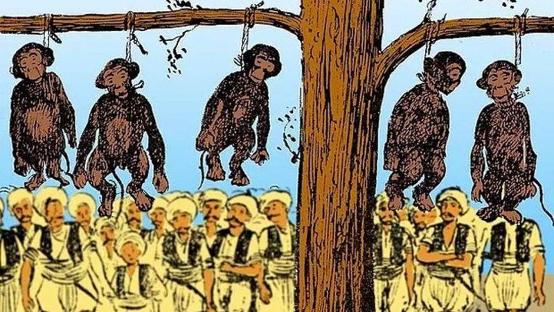 III. Murat Döneminde Fuhuş Yapıyorlar Gerekçesiyle İstanbul’da İdam Ettirilen Yüzlerce Maymunun Hikayesi