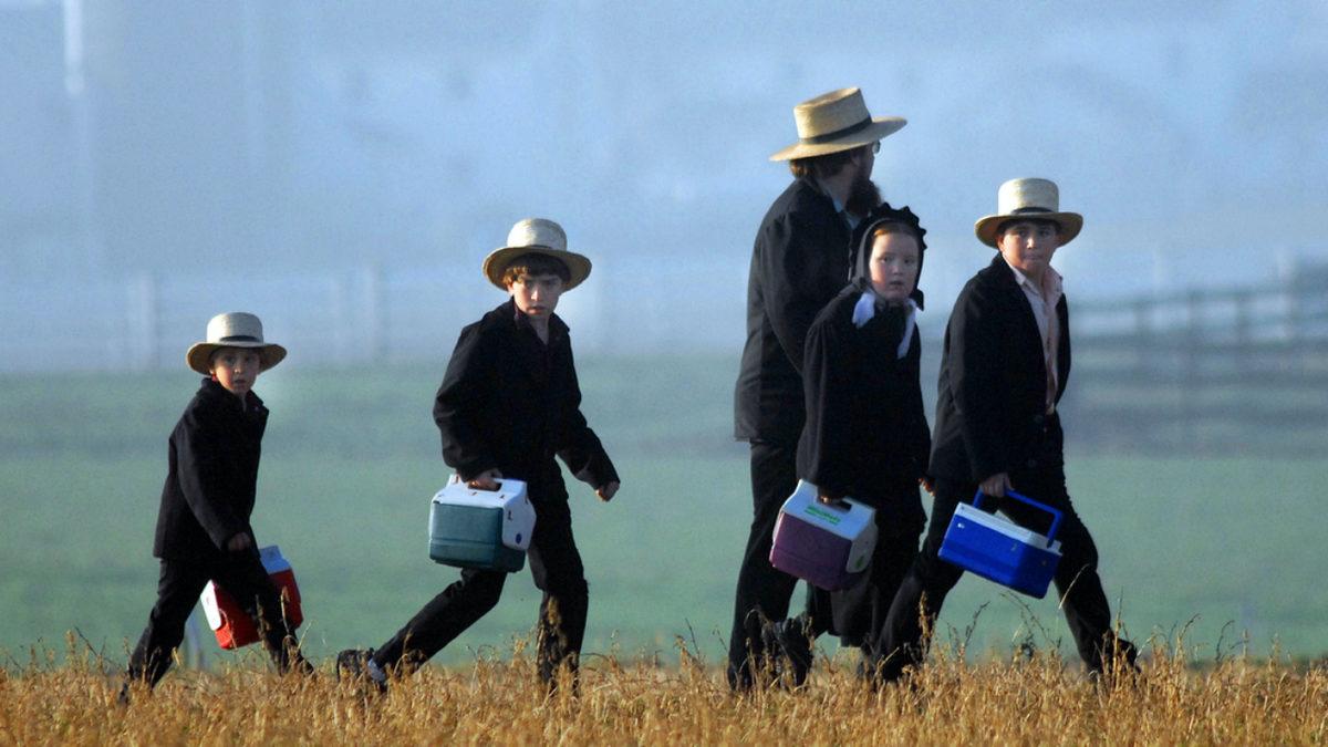 Tek Kuruş Vergi Ödemeyip, Sıfır Teknoloji ile Amerika’da Yaşamak: İşte Anabaptistler ve Amişlerin Enteresan Hayatı
