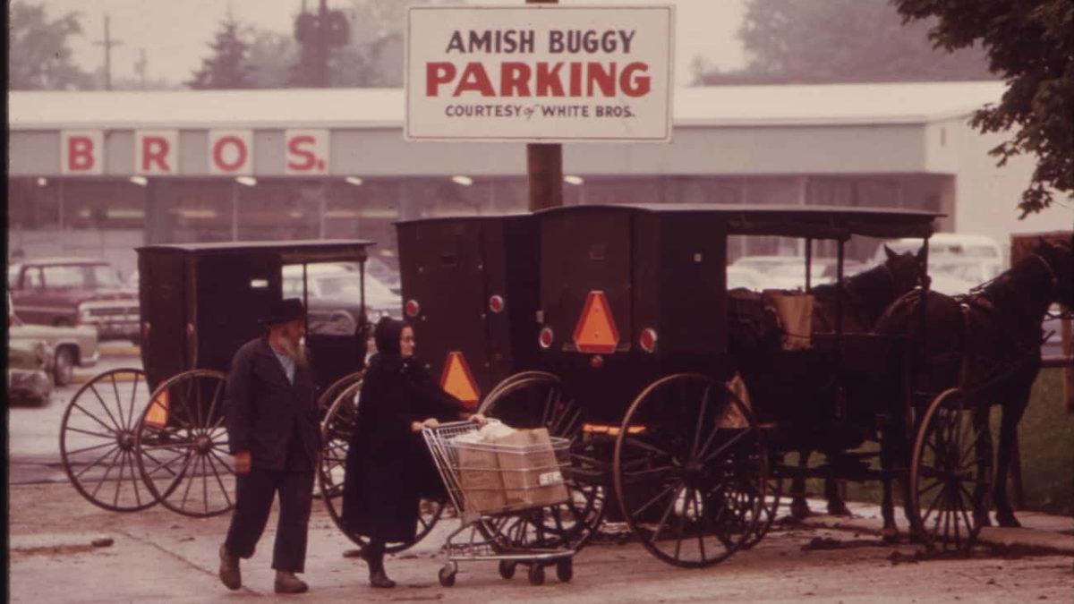 Tek Kuruş Vergi Ödemeyip, Sıfır Teknoloji ile Amerika’da Yaşamak: İşte Anabaptistler ve Amişlerin Enteresan Hayatı