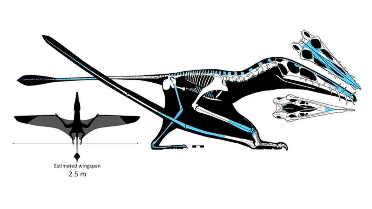 Yaşadığı Dönemin ‘Uçan Timsahı’ Olan 170 Milyon Yıllık Devasa Bir Uçan Sürüngen Keşfedildi