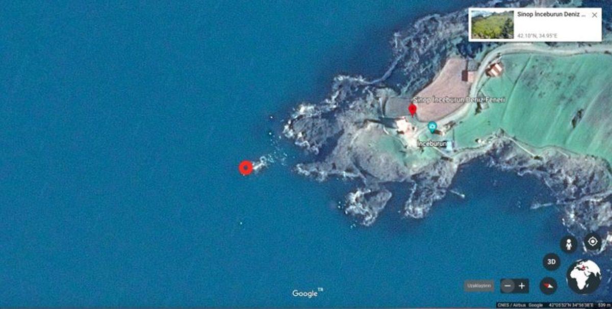 Yanlış Bilinen Bu Bilgilerin Doğrusunu Öğrenince Beyninize Güncelleme Almış Gibi Hissedeceksiniz