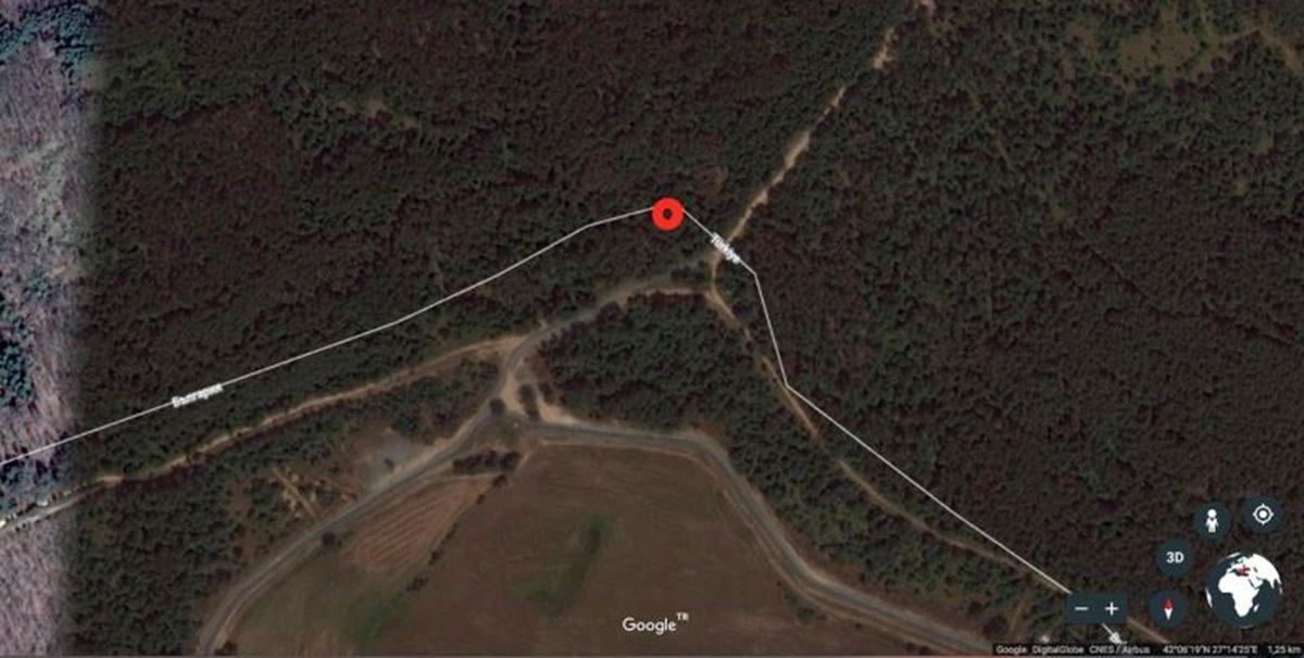 Yanlış Bilinen Bu Bilgilerin Doğrusunu Öğrenince Beyninize Güncelleme Almış Gibi Hissedeceksiniz