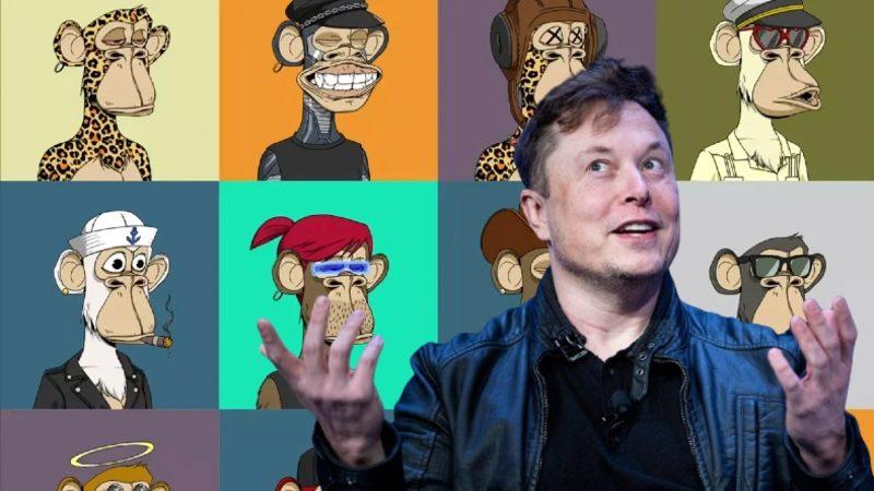 Twitter’ın NFT Özelliğini Eleştiren Elon Musk’ın, 1.5 Milyon Dolara NFT Aldığı İddia Edildi