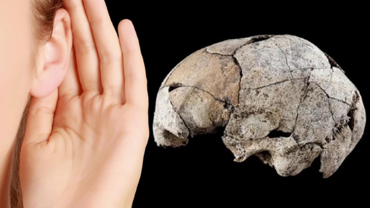 6 Bin Yıllık Kafatasında Tarihin İlk Başarılı Kulak Ameliyatına Dair İzler Bulundu