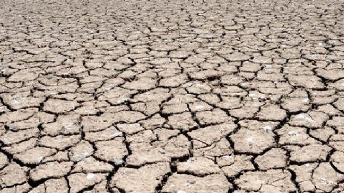 Tüm Dünyada Oksijen 5 Saniyeliğine Kaybolsaydı Ne Olurdu?