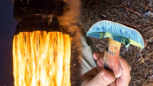 Baktıkça Bilime Olan Merakınızı Artıracak, Hem Etkileyici Hem Bilgilendirici 20 GIF