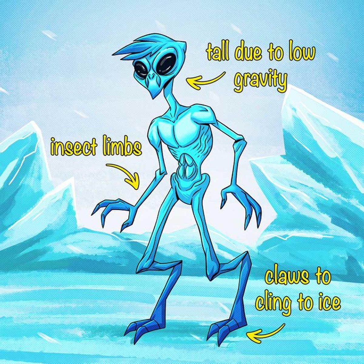 Dünya’da Değil de Diğer Gezegenlerde Yaşasaydık Vücudumuz İşte Böyle Görünecekti!