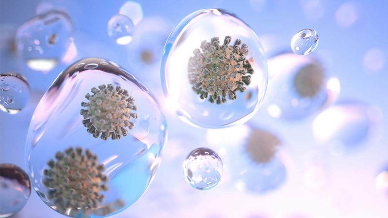 Bilim İnsanlarına Göre ’Nem Dengesini Doğru Ayarlarsak’ Koronavirüsten Korunabiliriz