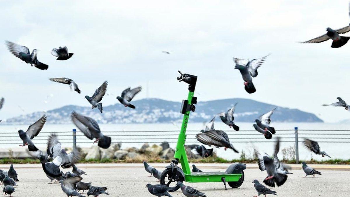 Elektrikli Scooter Hizmeti Martı’da Kişisel Veriler Sızdırıldı: Kaç Kişinin Etkilendiği Bilinmiyor