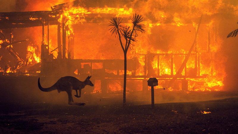 2020’yi Yüzyılın En Kötü Yılı Yapan 14 Felaket (Salgın Hariç)