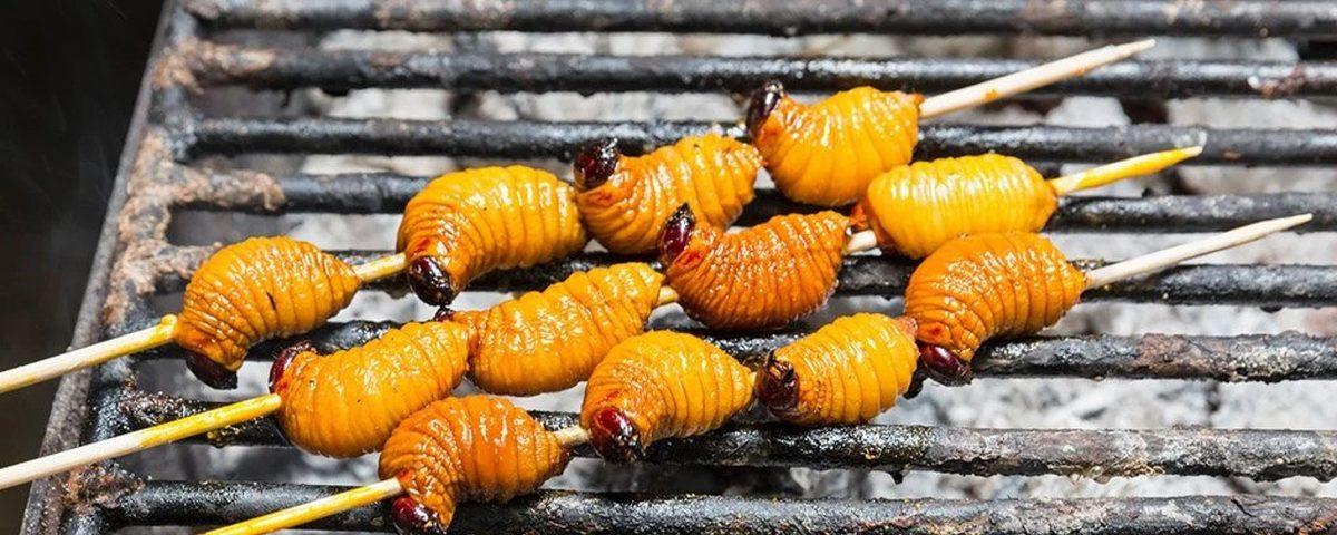 Böcekler ’Geleceğin Besinleri’ Olacak: Böcek Tüketiminin Dünyanın Gıda Sorununu Çözebileceği Açıklandı