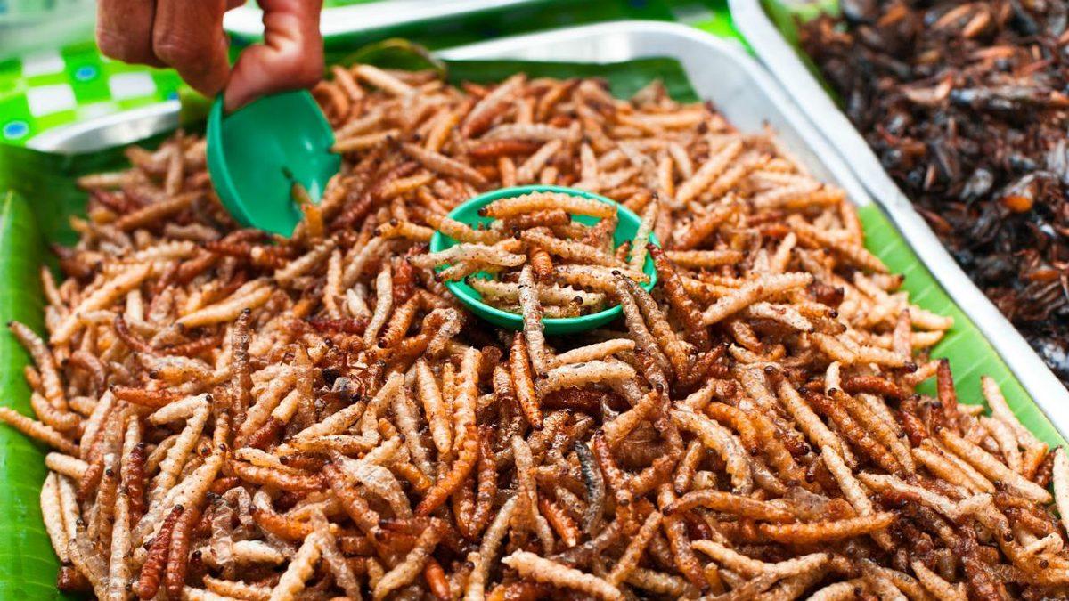 Böcekler ’Geleceğin Besinleri’ Olacak: Böcek Tüketiminin Dünyanın Gıda Sorununu Çözebileceği Açıklandı