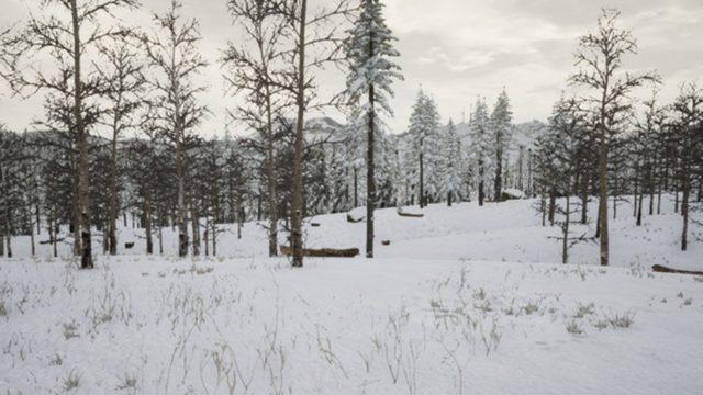 Türk Yapımı Hayatta Kalma Oyunu Erzurum, Steam’de Yerini Aldı