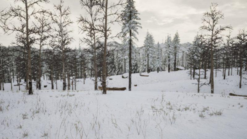 Türk Yapımı Hayatta Kalma Oyunu Erzurum, Steam’de Yerini Aldı