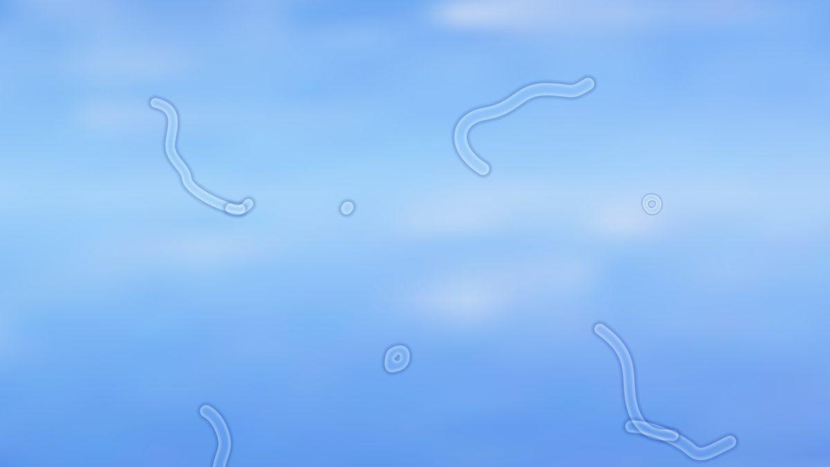 Gözümüzün Önünde Uçuşan Belli Belirsiz Tuhaf Cisimler Neyin Nesidir?