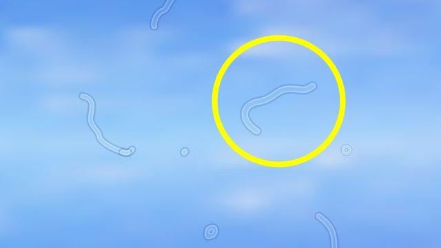 Gözümüzün Önünde Uçuşan Belli Belirsiz Tuhaf Cisimler Neyin Nesidir?