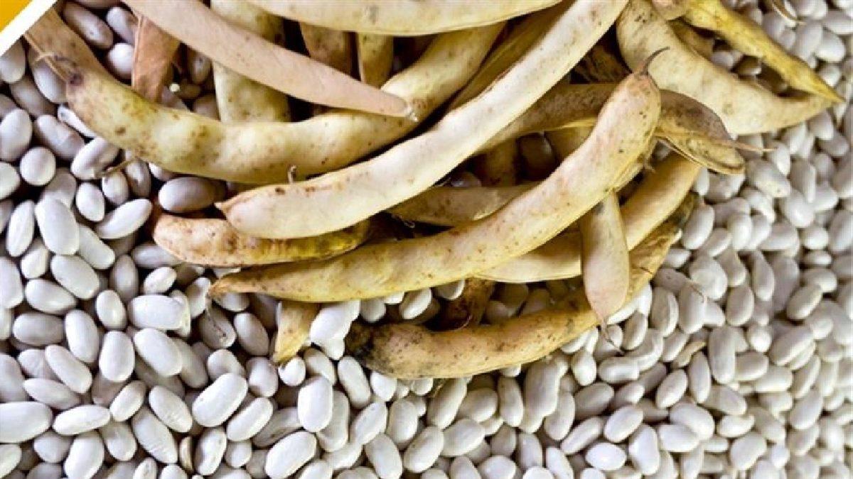 Proteinimi Bitkilerden Alırım Diyenlere: İhtiyacınızı Karşılayacak 9 Sağlıklı Bitkisel Protein Kaynağı