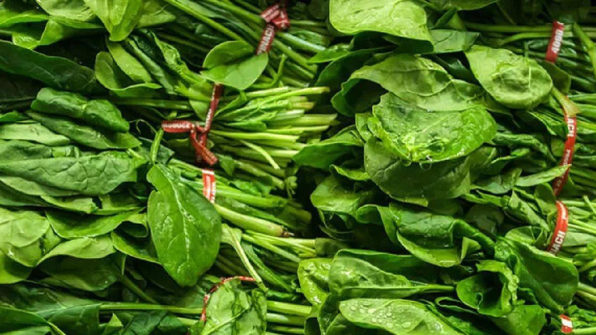 Proteinimi Bitkilerden Alırım Diyenlere: İhtiyacınızı Karşılayacak 9 Sağlıklı Bitkisel Protein Kaynağı