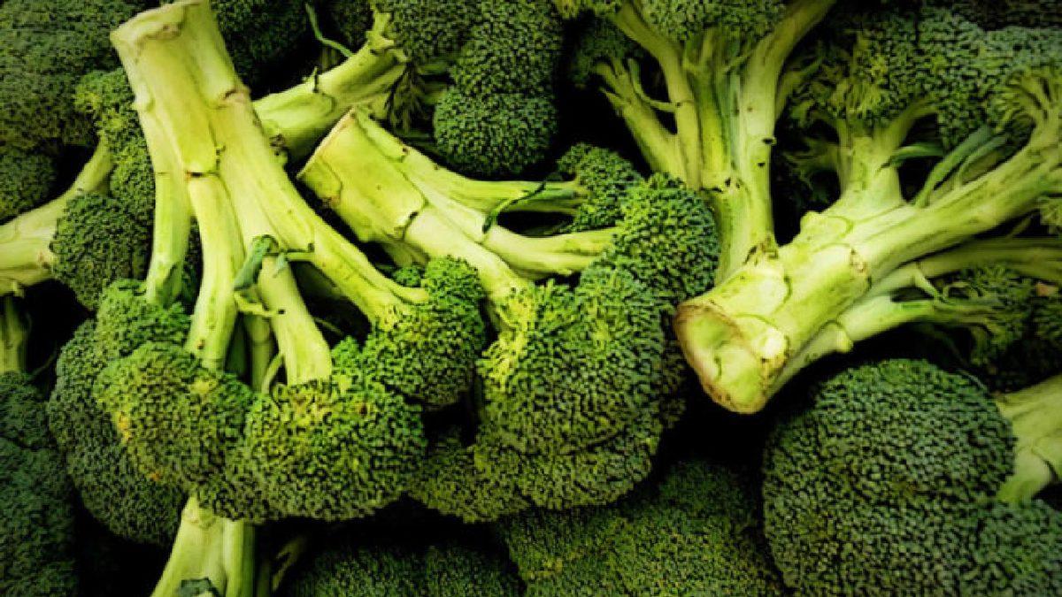 Proteinimi Bitkilerden Alırım Diyenlere: İhtiyacınızı Karşılayacak 9 Sağlıklı Bitkisel Protein Kaynağı