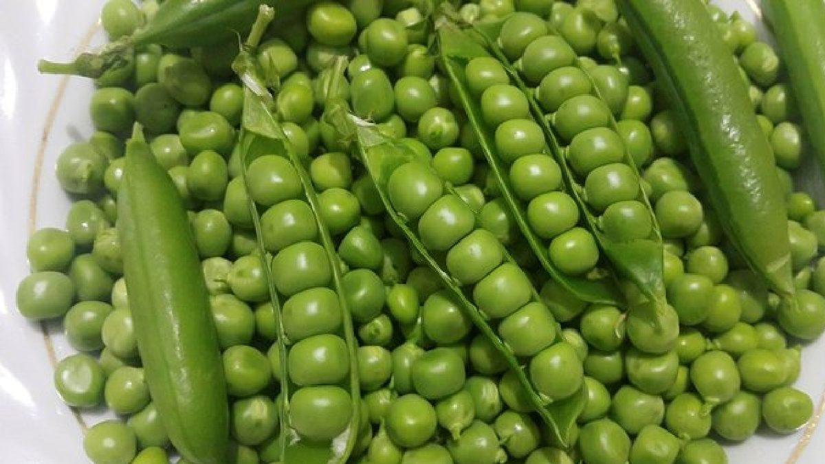 Proteinimi Bitkilerden Alırım Diyenlere: İhtiyacınızı Karşılayacak 9 Sağlıklı Bitkisel Protein Kaynağı