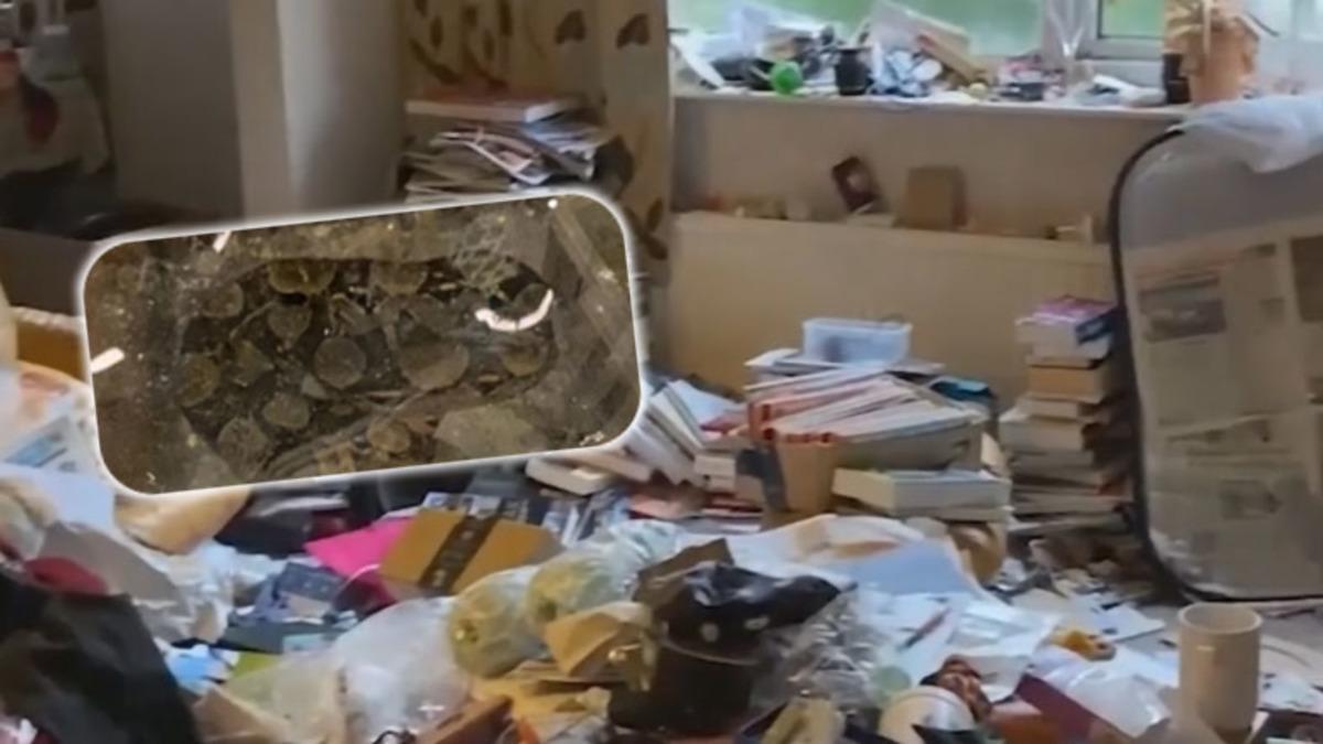 Ev Sahiplerinin Korkulu Rüyası Olacak Kiracı: Kiracısının Evine Giden Ev Sahibi, Evde 4 Yılan ve ’Birkaç’ Akrep Buldu