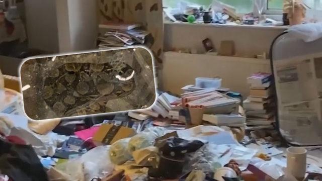 Ev Sahiplerinin Korkulu Rüyası Olacak Kiracı: Kiracısının Evine Giden Ev Sahibi, Evde 4 Yılan ve ’Birkaç’ Akrep Buldu