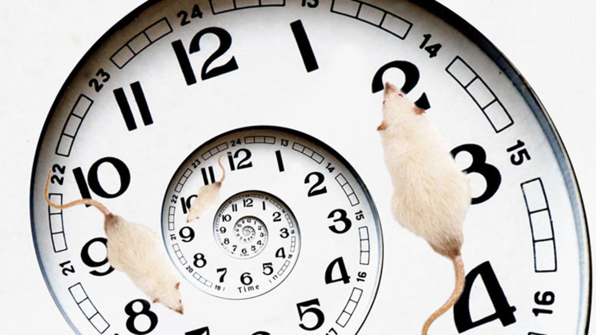 Tarihe Geçecek Başarı: Yaşlanmanın Etkileri ’Zamanda Yolculuk Etmiş Gibi’ Tersine Çevrildi