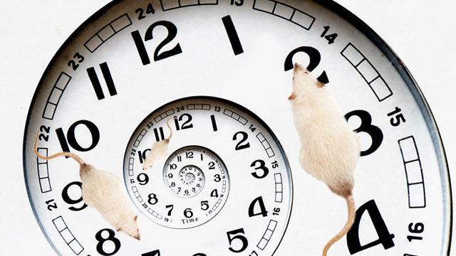 Tarihe Geçecek Başarı: Yaşlanmanın Etkileri ’Zamanda Yolculuk Etmiş Gibi’ Tersine Çevrildi