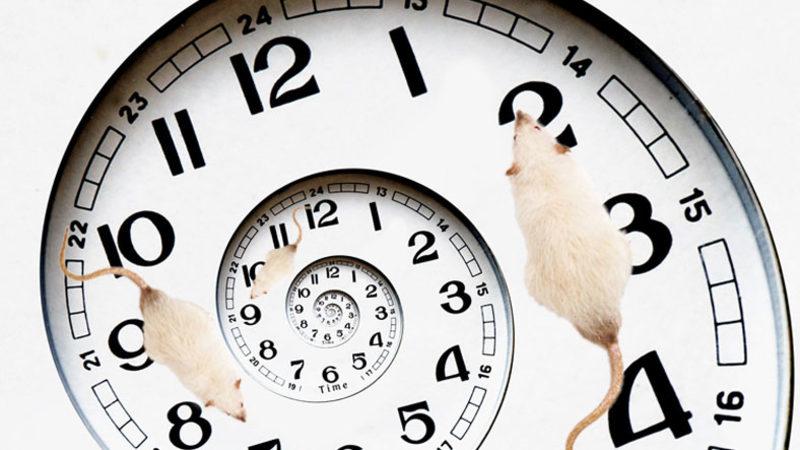 Tarihe Geçecek Başarı: Yaşlanmanın Etkileri ’Zamanda Yolculuk Etmiş Gibi’ Tersine Çevrildi