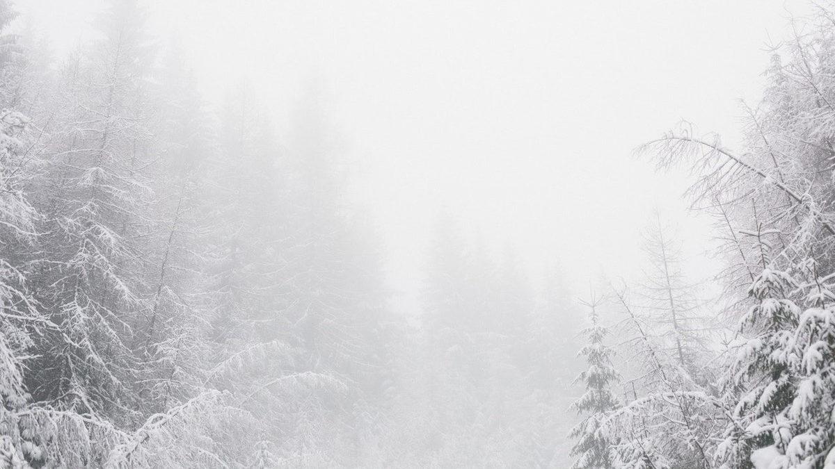 Araştırmalara Göre ’Tarihin En Kötü Yılı’ İlan Edilen 536’da Neler Yaşanmıştı?