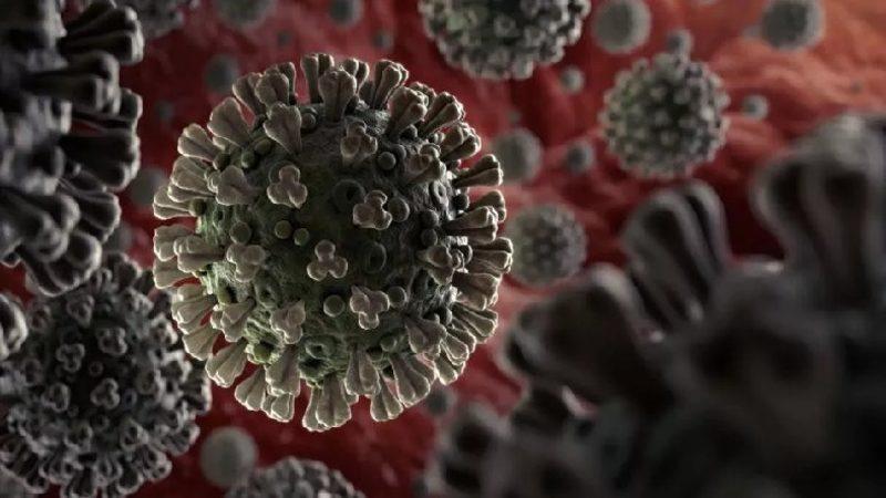 Bilim İnsanları, Yeni Tip Virüsün Nasıl Daha Hızlı Yayıldığını Açıklayabilecek Bir İnceleme Yaptı
