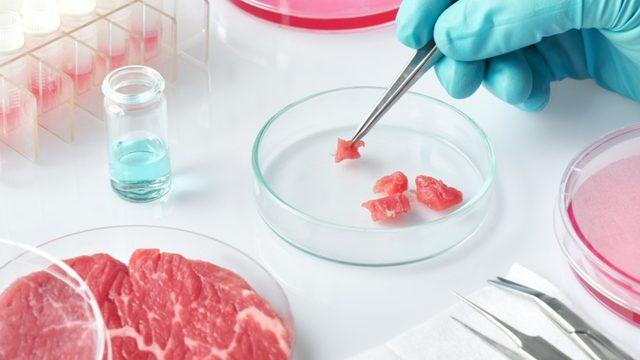 Yapay Etlerin Yüksek Miktarda Hayvan Kanı İçerdiği Ortaya Çıktı: İşte Araştırma Sonuçları